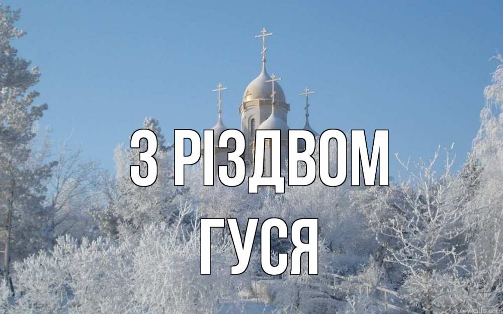 Открытка на каждый день з підписом, Гуся З Різдвом храм, зима, лес, церковь Прикольна листівка з побажанням онлайн скачати безкоштовно 