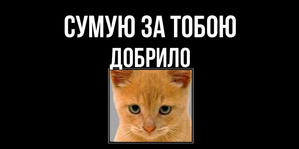 Открытка на каждый день з підписом, Добрило Сумую за тобою открытки рыжий котенок скучает по тебе Прикольна листівка з побажанням онлайн скачати безкоштовно 