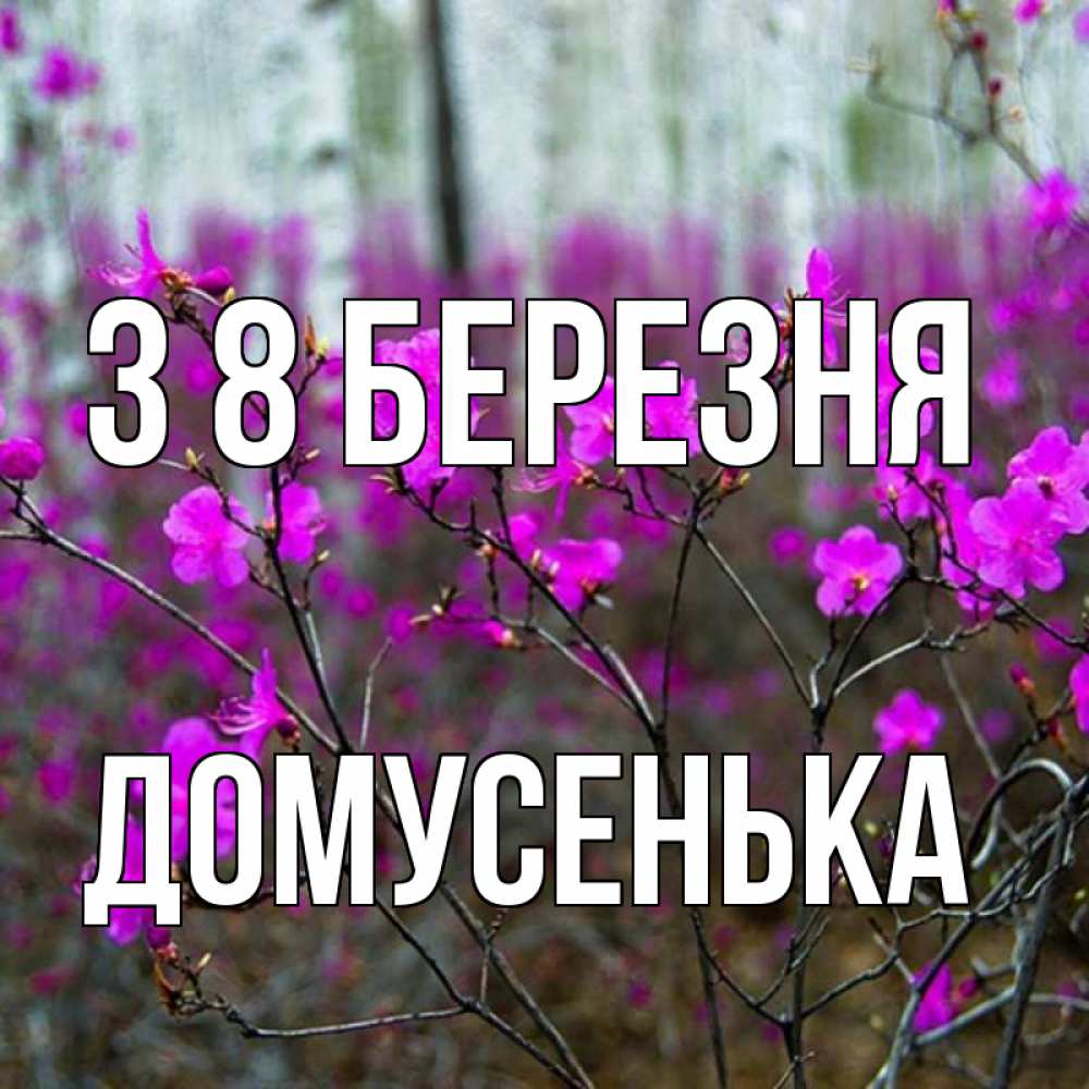 Открытка на каждый день з підписом, Домусенька З 8 БЕРЕЗНЯ дикие цветы Прикольна листівка з побажанням онлайн скачати безкоштовно 
