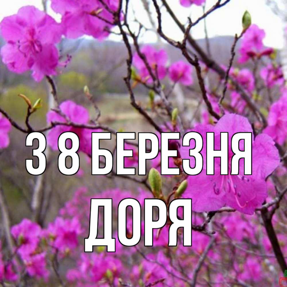 Открытка на каждый день з підписом, Доря З 8 БЕРЕЗНЯ международный женский день Прикольна листівка з побажанням онлайн скачати безкоштовно 