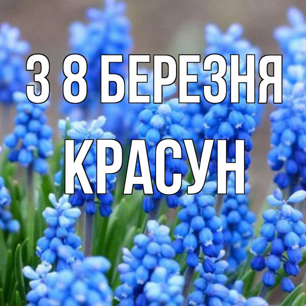 Открытка на каждый день з підписом, Красун З 8 БЕРЕЗНЯ Поздравительная открытка для женщин с цветами на праздничную дату Прикольна листівка з побажанням онлайн скачати безкоштовно 