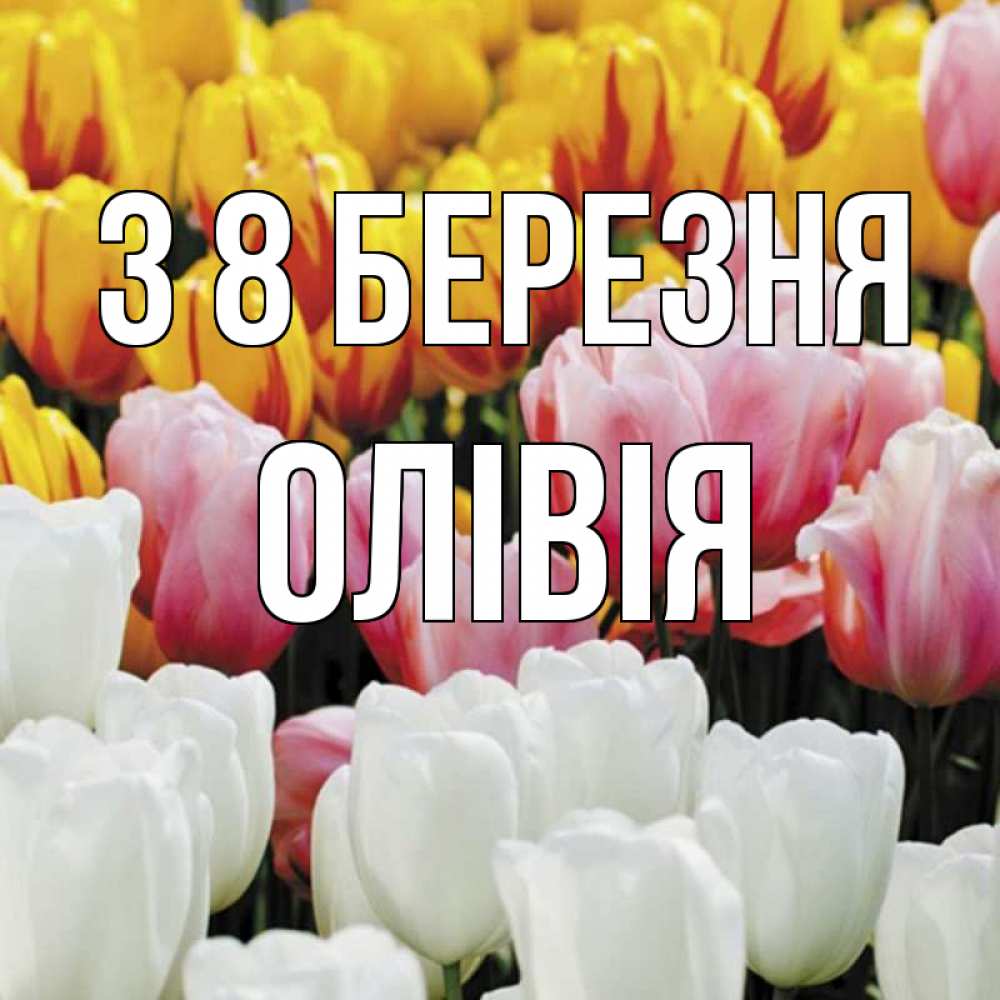 Открытка на каждый день з підписом, Олівія З 8 БЕРЕЗНЯ разноцветные цветы Прикольна листівка з побажанням онлайн скачати безкоштовно 