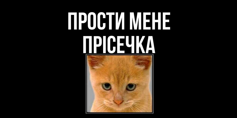 Открытка на каждый день з підписом, Прісечка Прости мене рыжий грустный кот просит прощения Прикольна листівка з побажанням онлайн скачати безкоштовно 