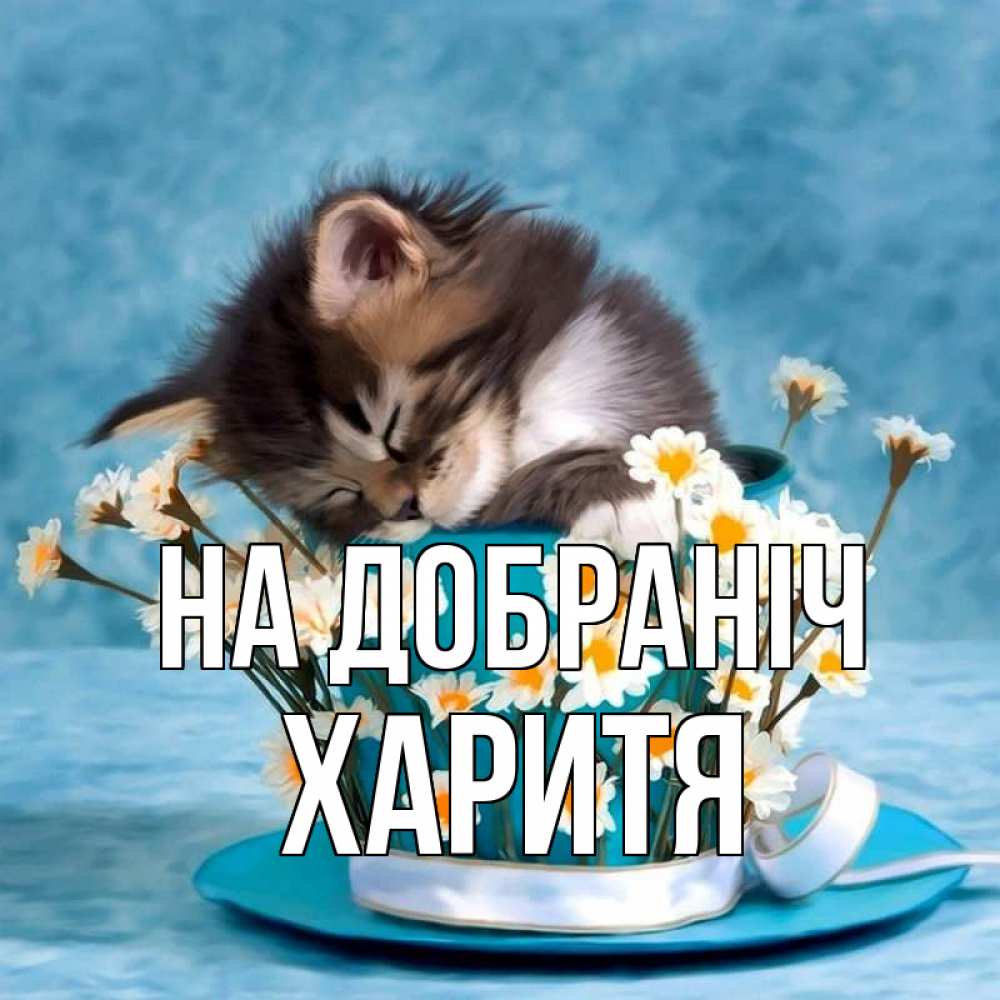 Открытка на каждый день з підписом, Харитя На добраніч котенок спит в кружке с блюдцем Прикольна листівка з побажанням онлайн скачати безкоштовно 