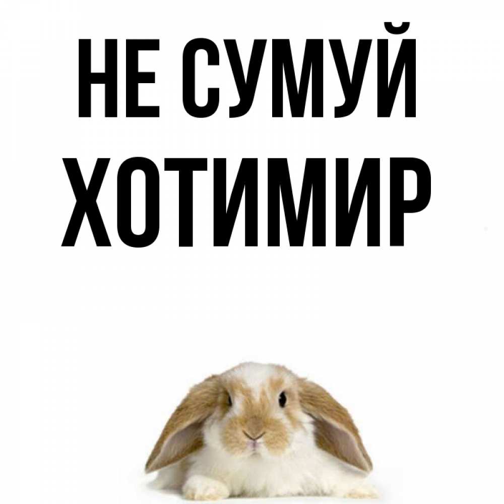 Открытка на каждый день з підписом, Хотимир Не сумуй коричнево белый заяц с большими ушками Прикольна листівка з побажанням онлайн скачати безкоштовно 