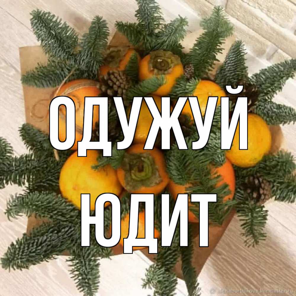 Открытка на каждый день з підписом, Юдит Одужуй апельсины и хурьма Прикольна листівка з побажанням онлайн скачати безкоштовно 