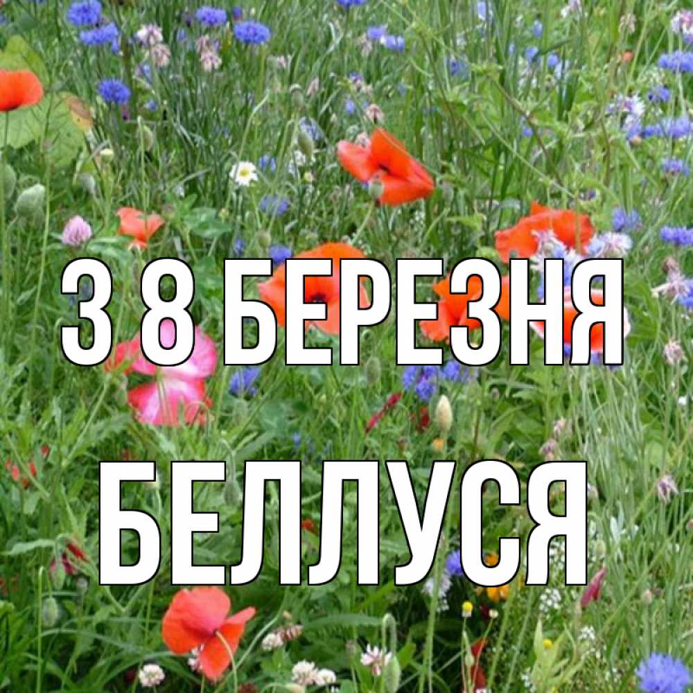 Открытка на каждый день з підписом, Беллуся З 8 БЕРЕЗНЯ международный женский день 4 Прикольна листівка з побажанням онлайн скачати безкоштовно 