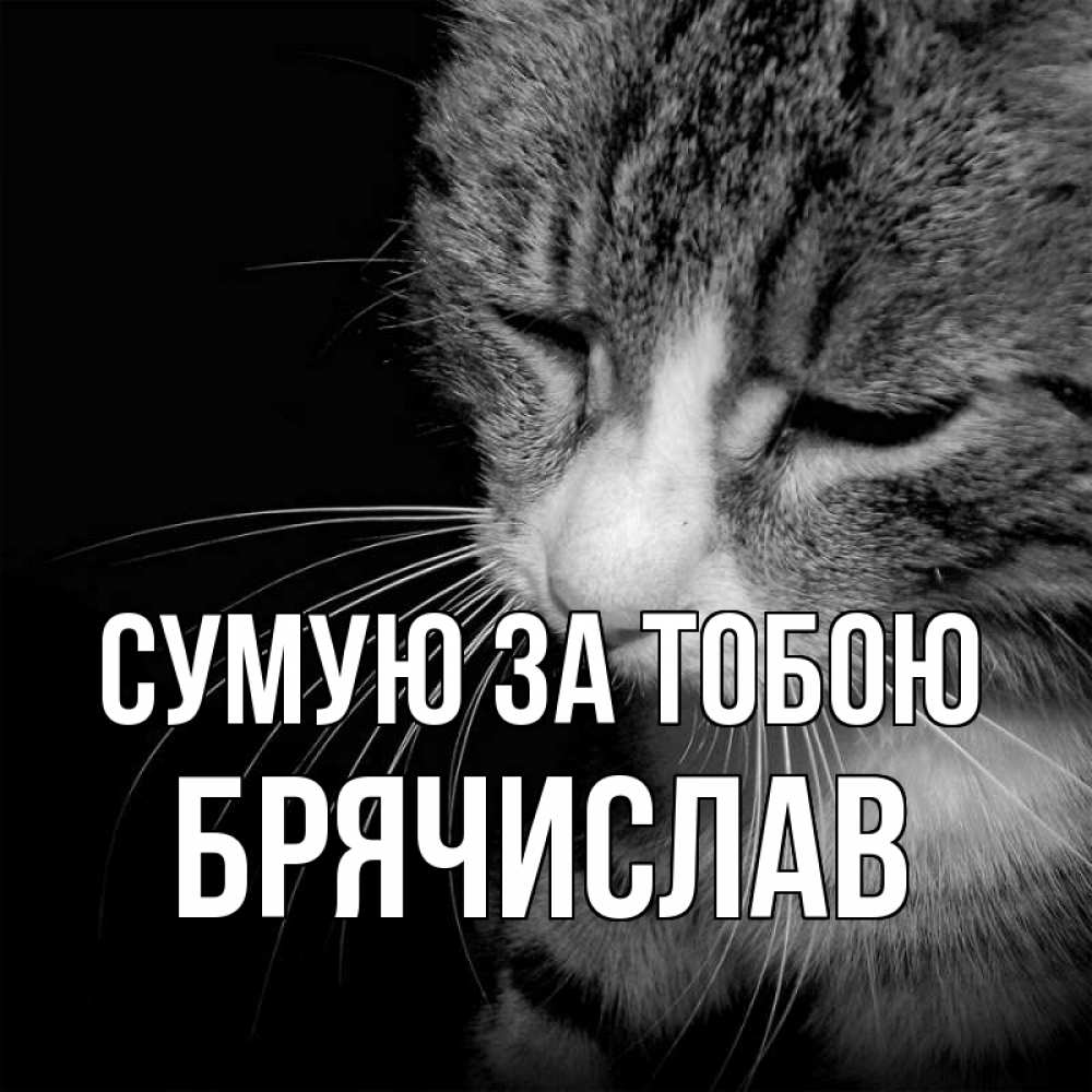 Открытка на каждый день з підписом, Брячислав Сумую за тобою мне скучно Прикольна листівка з побажанням онлайн скачати безкоштовно 