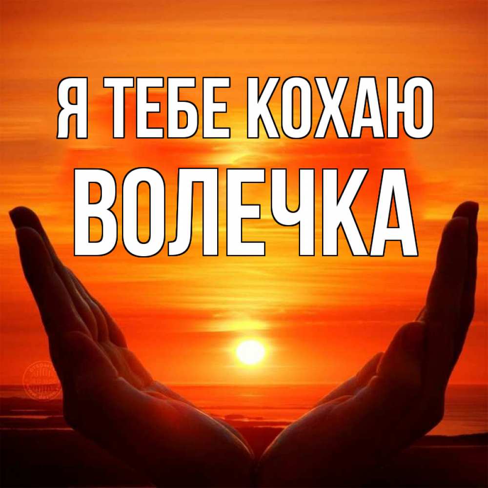 Открытка на каждый день з підписом, Волечка Я тебе кохаю в руках Прикольна листівка з побажанням онлайн скачати безкоштовно 