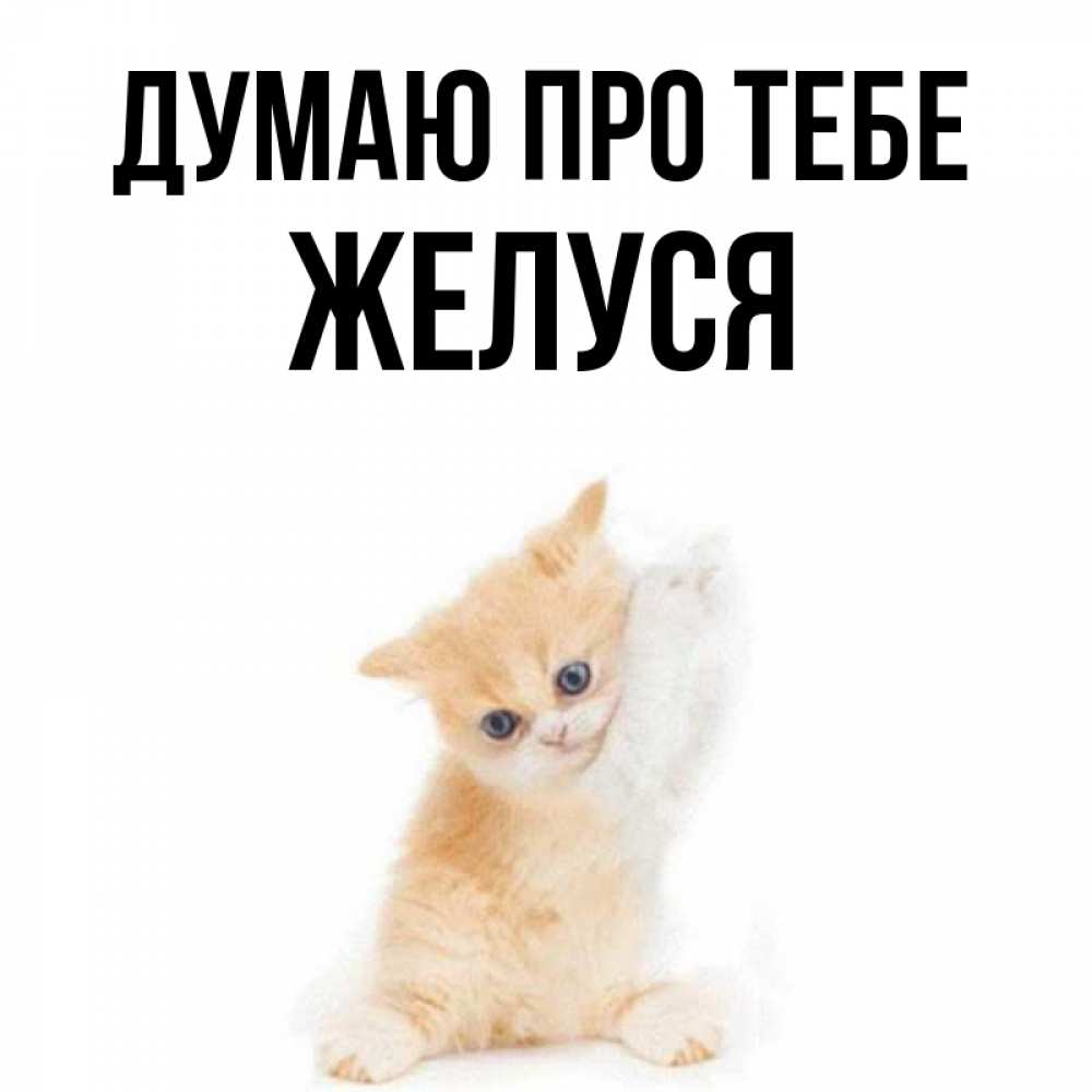 Открытка на каждый день з підписом, Желуся Думаю про тебе зверушки и милота Прикольна листівка з побажанням онлайн скачати безкоштовно 