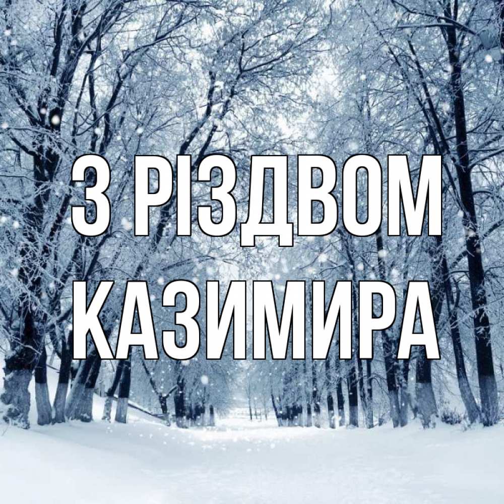 Открытка на каждый день з підписом, Казимира З Різдвом снег, лес, парк Прикольна листівка з побажанням онлайн скачати безкоштовно 