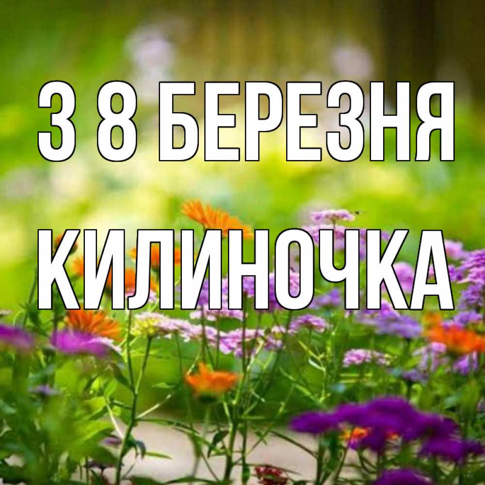 Открытка на каждый день з підписом, Килиночка З 8 БЕРЕЗНЯ цветы Прикольна листівка з побажанням онлайн скачати безкоштовно 