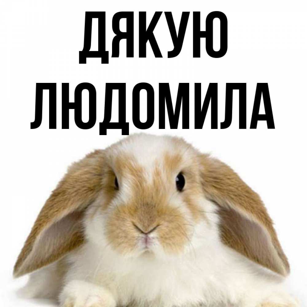 Открытка на каждый день з підписом, Людомила Дякую коричнево белый заяц Прикольна листівка з побажанням онлайн скачати безкоштовно 