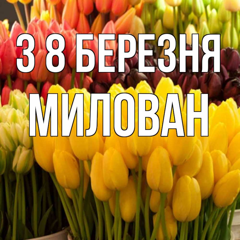 Открытка на каждый день з підписом, Милован З 8 БЕРЕЗНЯ цветы Прикольна листівка з побажанням онлайн скачати безкоштовно 