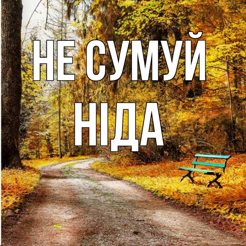 Открытка на каждый день з підписом, Ніда Не сумуй зеленая лавочка Прикольна листівка з побажанням онлайн скачати безкоштовно 