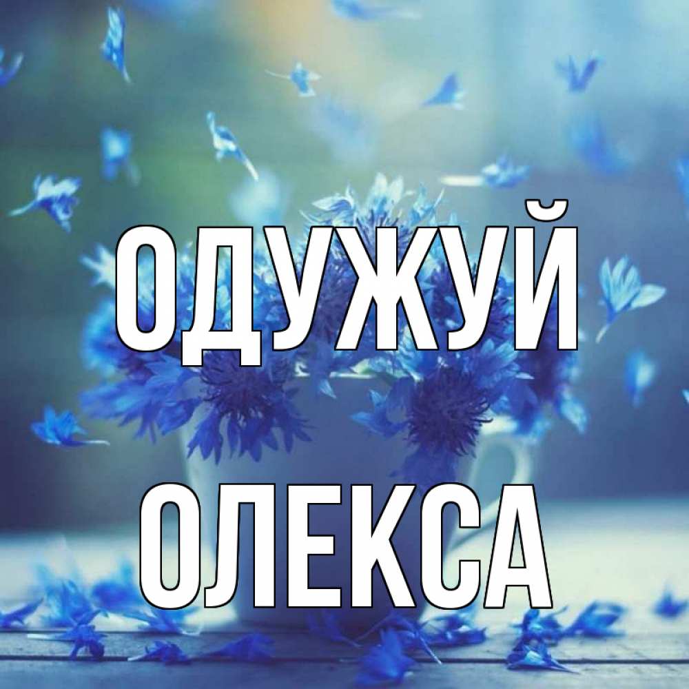 Открытка на каждый день з підписом, Олекса Одужуй кружка с зельем и цветами Прикольна листівка з побажанням онлайн скачати безкоштовно 
