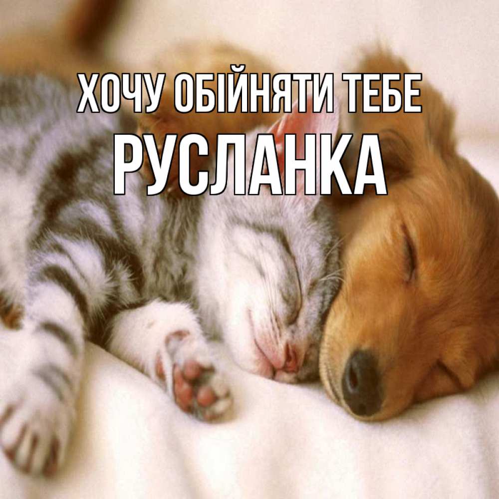 Открытка на каждый день з підписом, Русланка Хочу обійняти тебе пес и котенок Прикольна листівка з побажанням онлайн скачати безкоштовно 