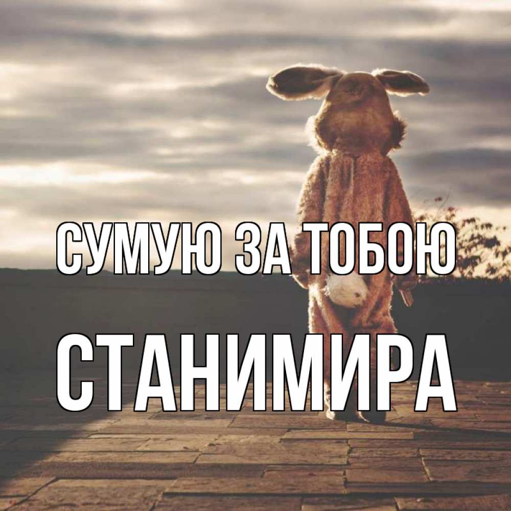 Открытка на каждый день з підписом, Станимира Сумую за тобою даже в костюме зайца Прикольна листівка з побажанням онлайн скачати безкоштовно 