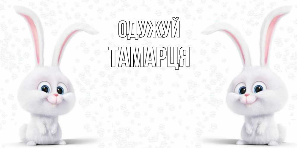 Открытка на каждый день з підписом, Тамарця Одужуй не болей с зайцем Прикольна листівка з побажанням онлайн скачати безкоштовно 