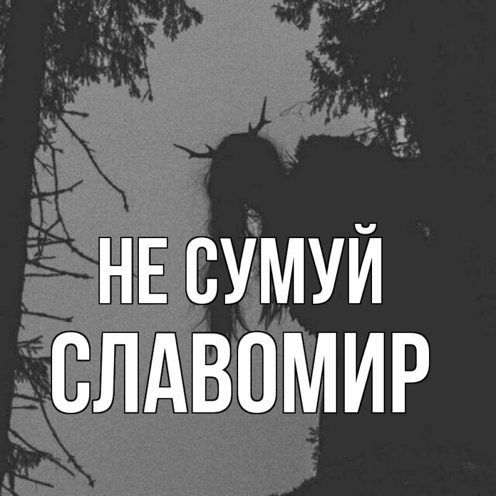Открытка на каждый день з підписом, Славомир Не сумуй чудище лесное Прикольна листівка з побажанням онлайн скачати безкоштовно 