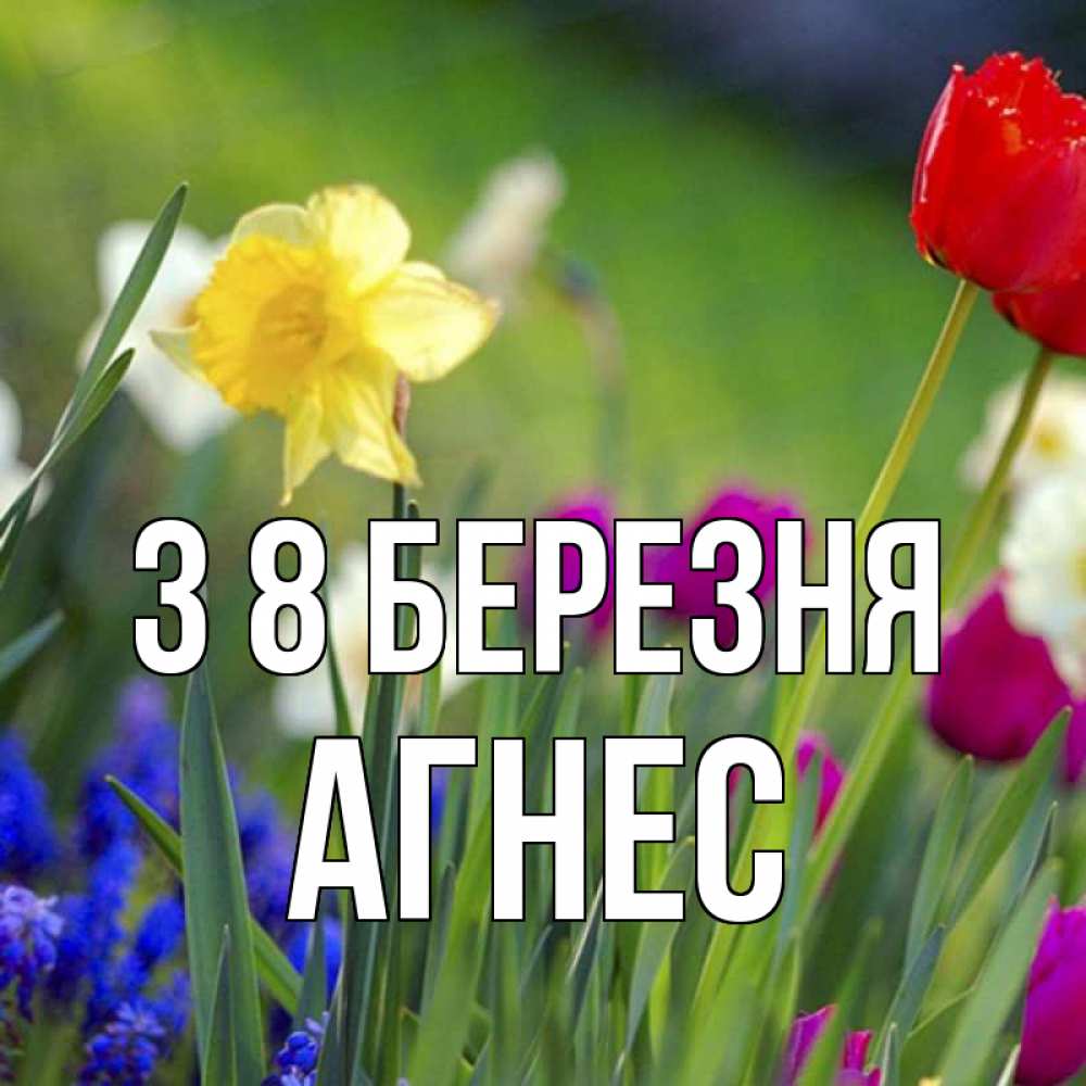 Открытка на каждый день з підписом, Агнес З 8 БЕРЕЗНЯ международный женский день 3 Прикольна листівка з побажанням онлайн скачати безкоштовно 