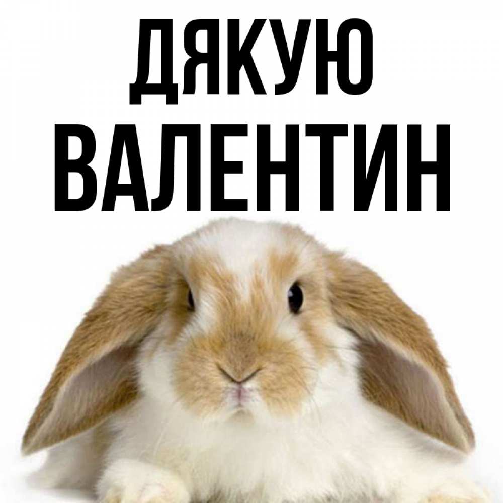 Открытка на каждый день з підписом, Валентин Дякую коричнево белый заяц Прикольна листівка з побажанням онлайн скачати безкоштовно 