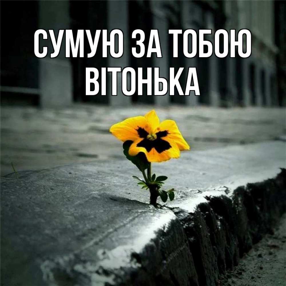 Открытка на каждый день з підписом, Вітонька Сумую за тобою надеюсь будет лучше Прикольна листівка з побажанням онлайн скачати безкоштовно 