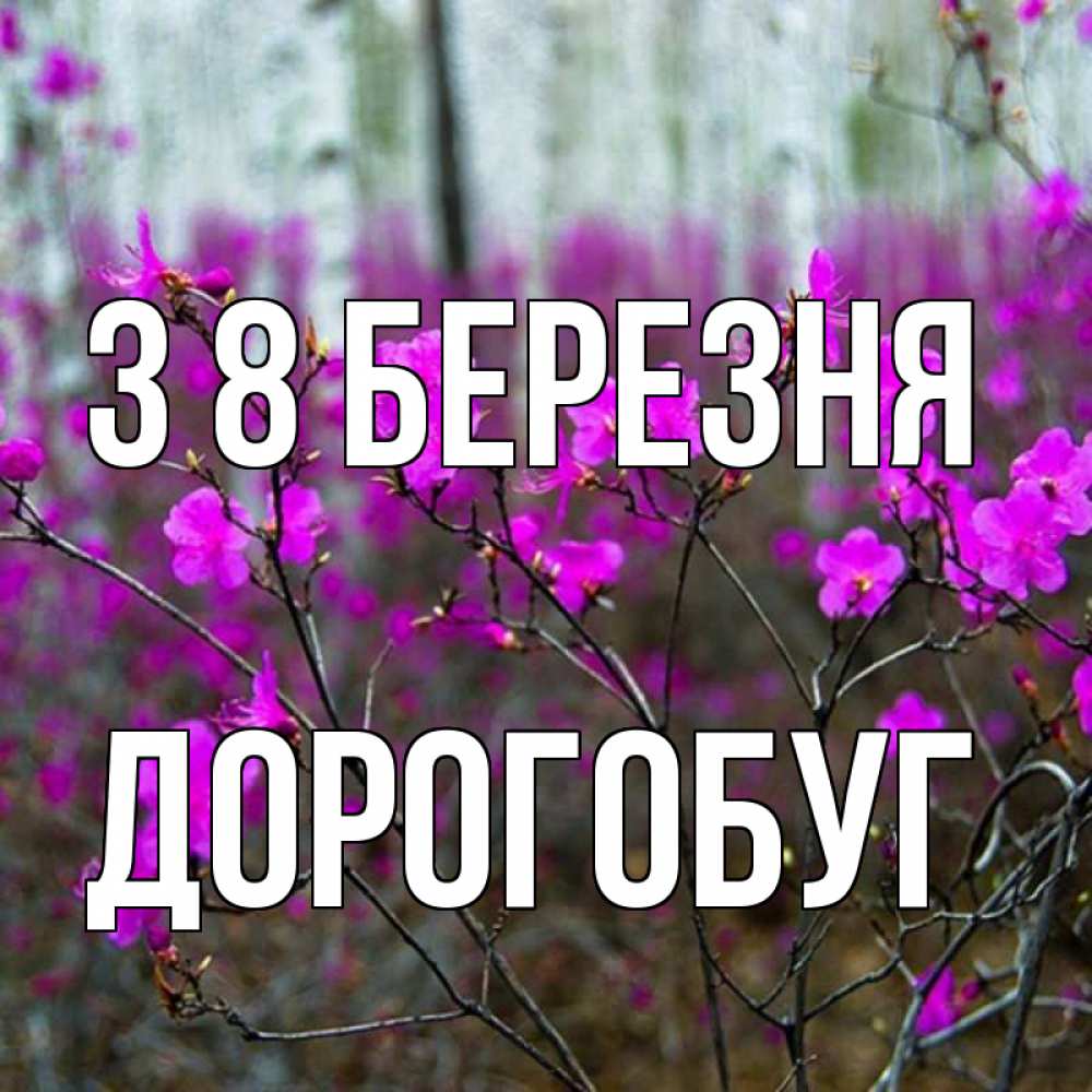 Открытка на каждый день з підписом, Дорогобуг З 8 БЕРЕЗНЯ дикие цветы Прикольна листівка з побажанням онлайн скачати безкоштовно 