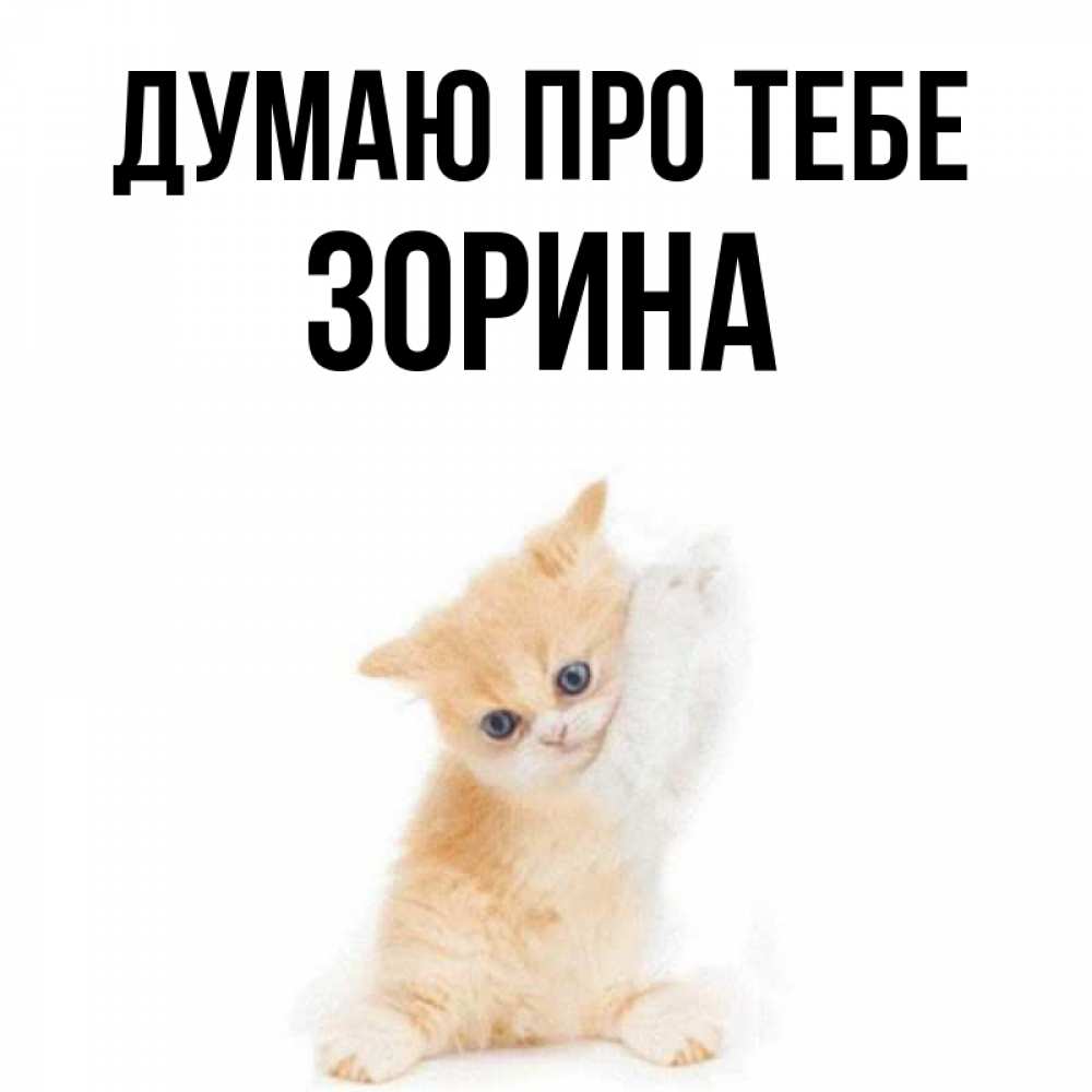 Открытка на каждый день з підписом, Зорина Думаю про тебе зверушки и милота Прикольна листівка з побажанням онлайн скачати безкоштовно 