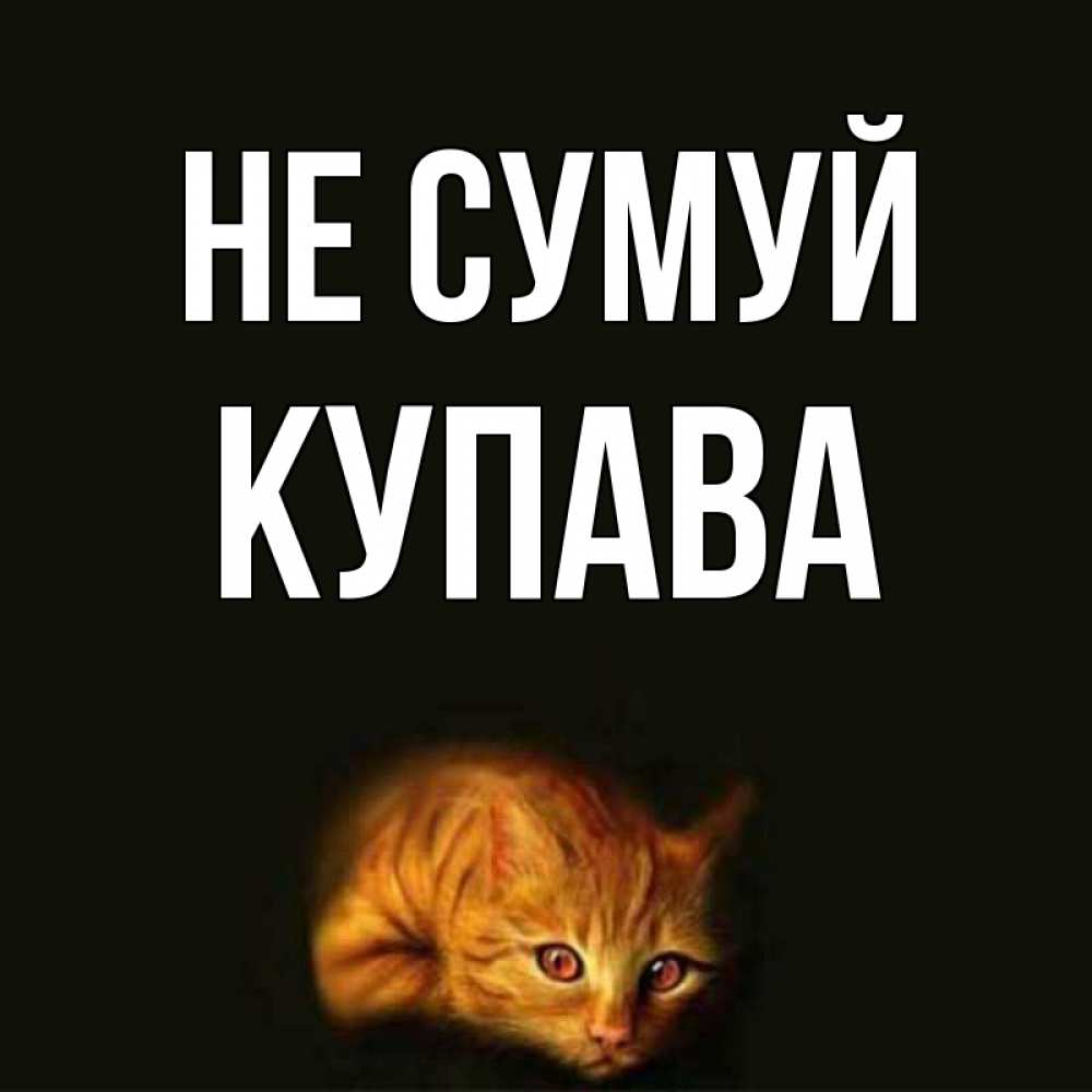 Открытка на каждый день з підписом, Купава Не сумуй лежащий кот в темноте Прикольна листівка з побажанням онлайн скачати безкоштовно 