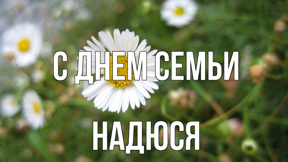 Открытка на каждый день з підписом, Надюся С днем семьи с днем семьи Прикольна листівка з побажанням онлайн скачати безкоштовно 