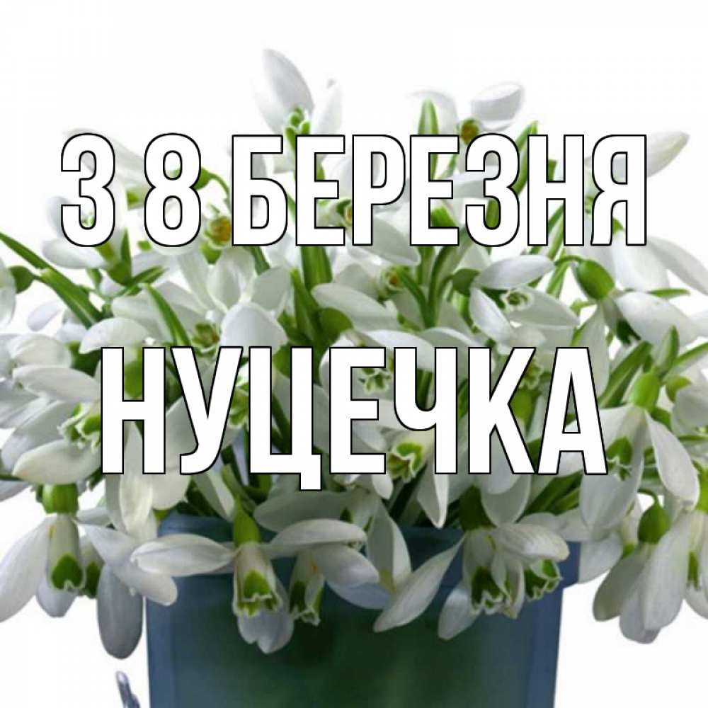 Открытка на каждый день з підписом, Нуцечка З 8 БЕРЕЗНЯ цветы к международному женскому дню Прикольна листівка з побажанням онлайн скачати безкоштовно 