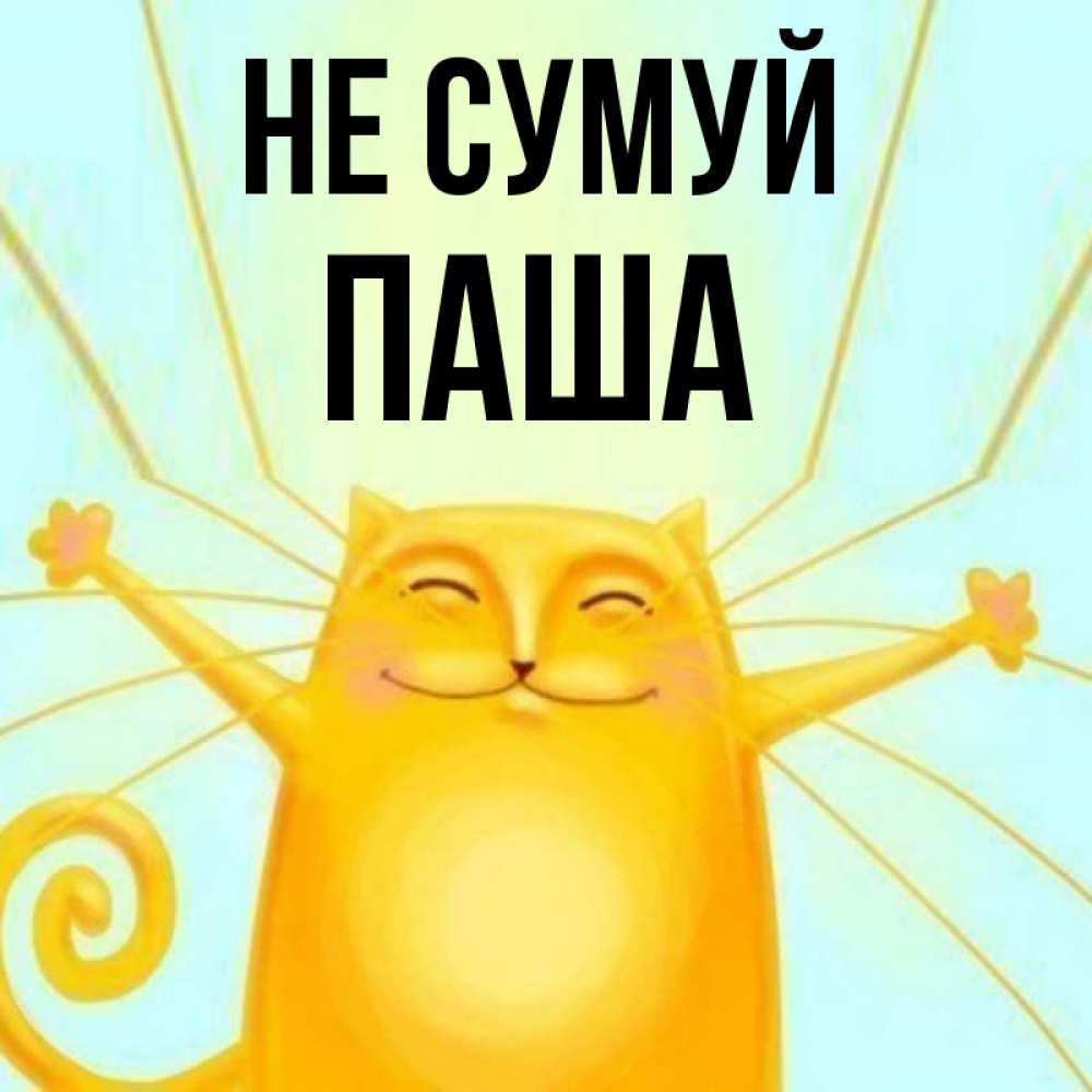 Открытка на каждый день з підписом, Паша Не сумуй обнимашки усатые Прикольна листівка з побажанням онлайн скачати безкоштовно 