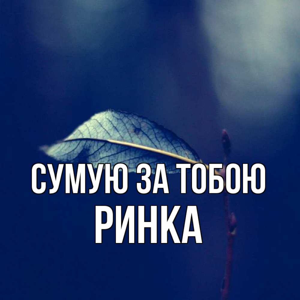 Открытка на каждый день з підписом, Ринка Сумую за тобою одна ветка 1 Прикольна листівка з побажанням онлайн скачати безкоштовно 