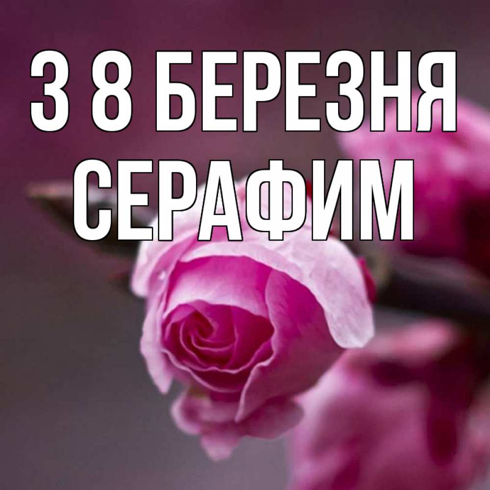 Открытка на каждый день з підписом, Серафим З 8 БЕРЕЗНЯ весна Прикольна листівка з побажанням онлайн скачати безкоштовно 