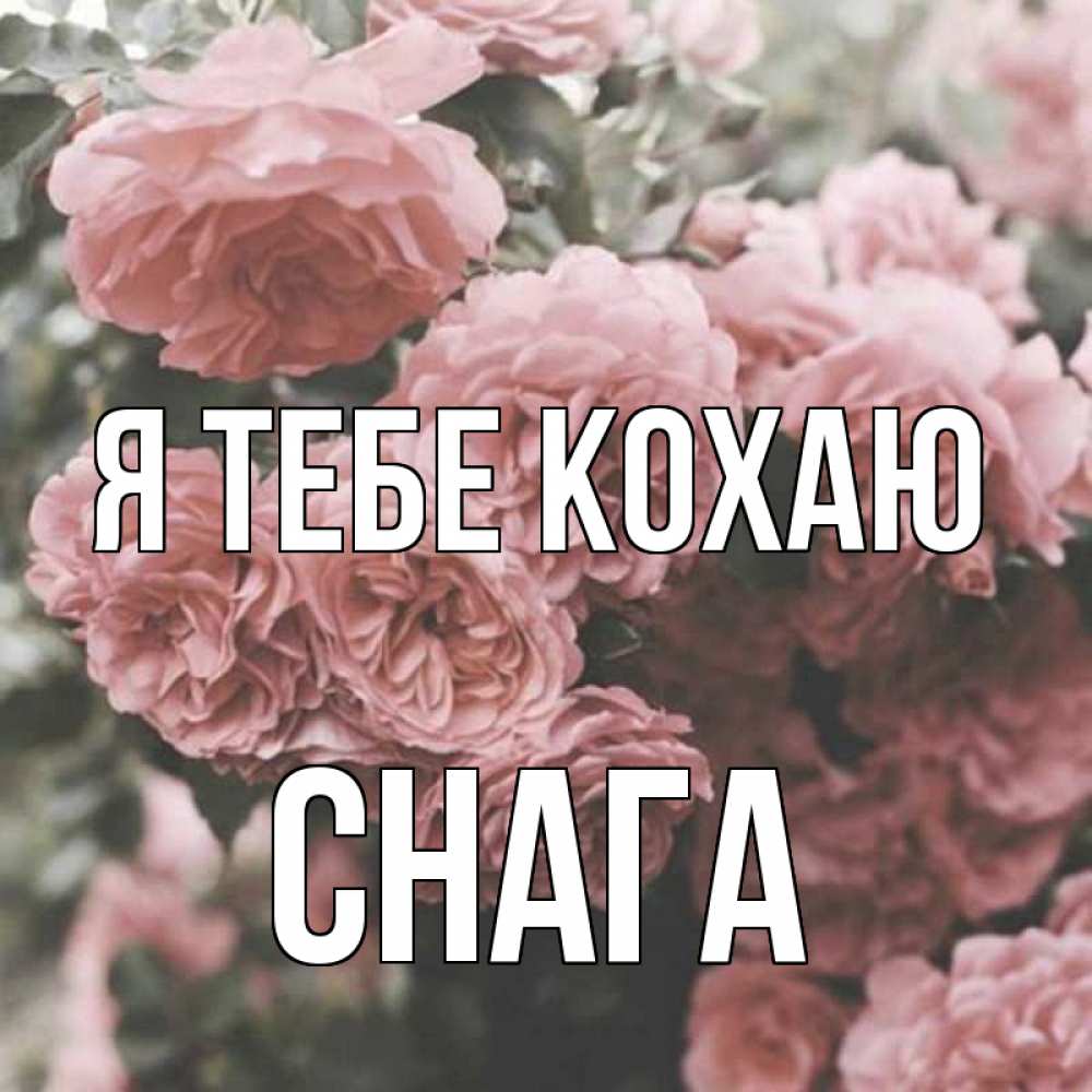 Открытка на каждый день з підписом, Снага Я тебе кохаю розы 3 Прикольна листівка з побажанням онлайн скачати безкоштовно 