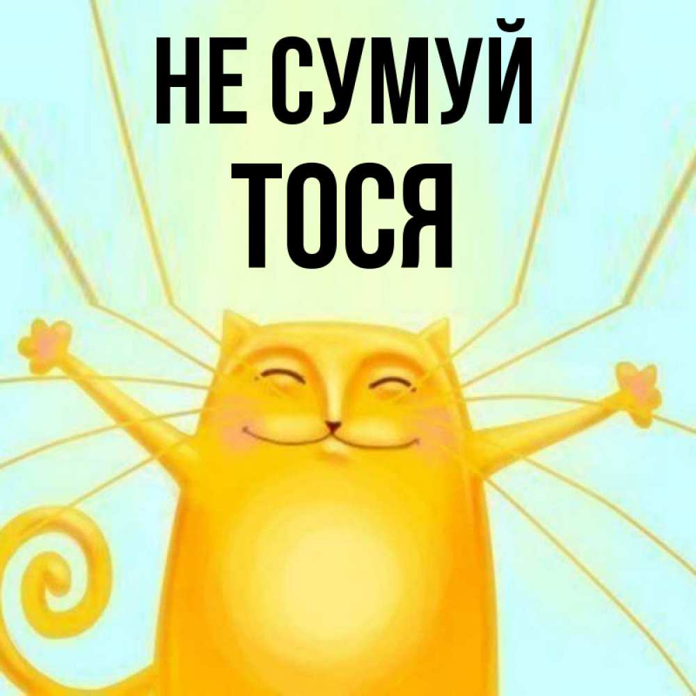 Открытка на каждый день з підписом, Тося Не сумуй обнимашки усатые Прикольна листівка з побажанням онлайн скачати безкоштовно 