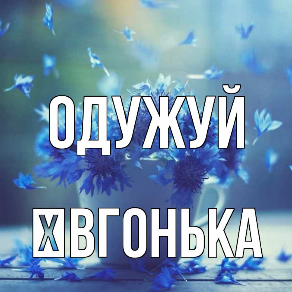 Открытка на каждый день з підписом, Ївгонька Одужуй кружка с зельем и цветами Прикольна листівка з побажанням онлайн скачати безкоштовно 