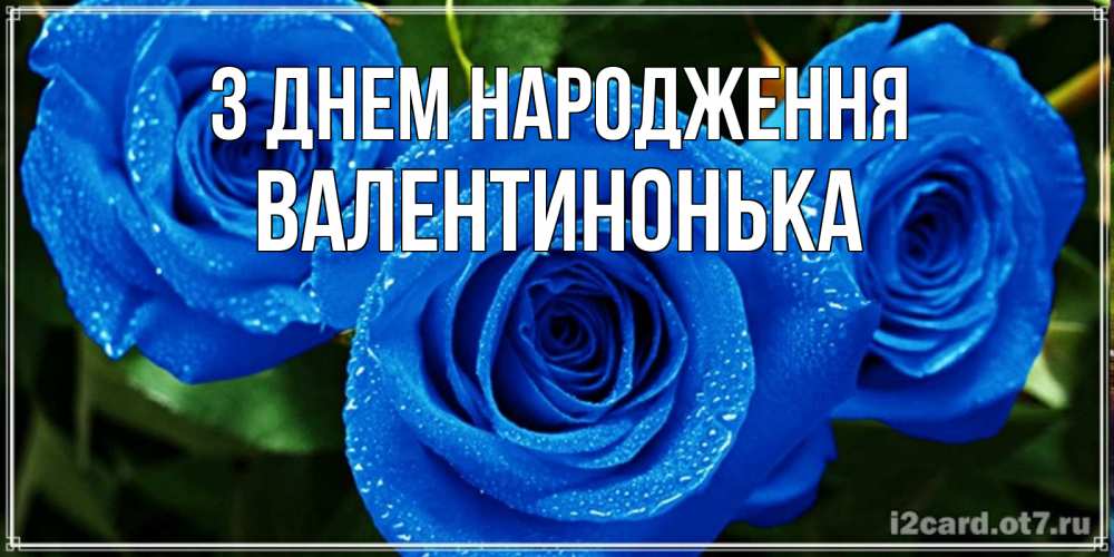 Открытка на каждый день з підписом, Валентинонька З Днем народження розы с синим цветом Прикольна листівка з побажанням онлайн скачати безкоштовно 