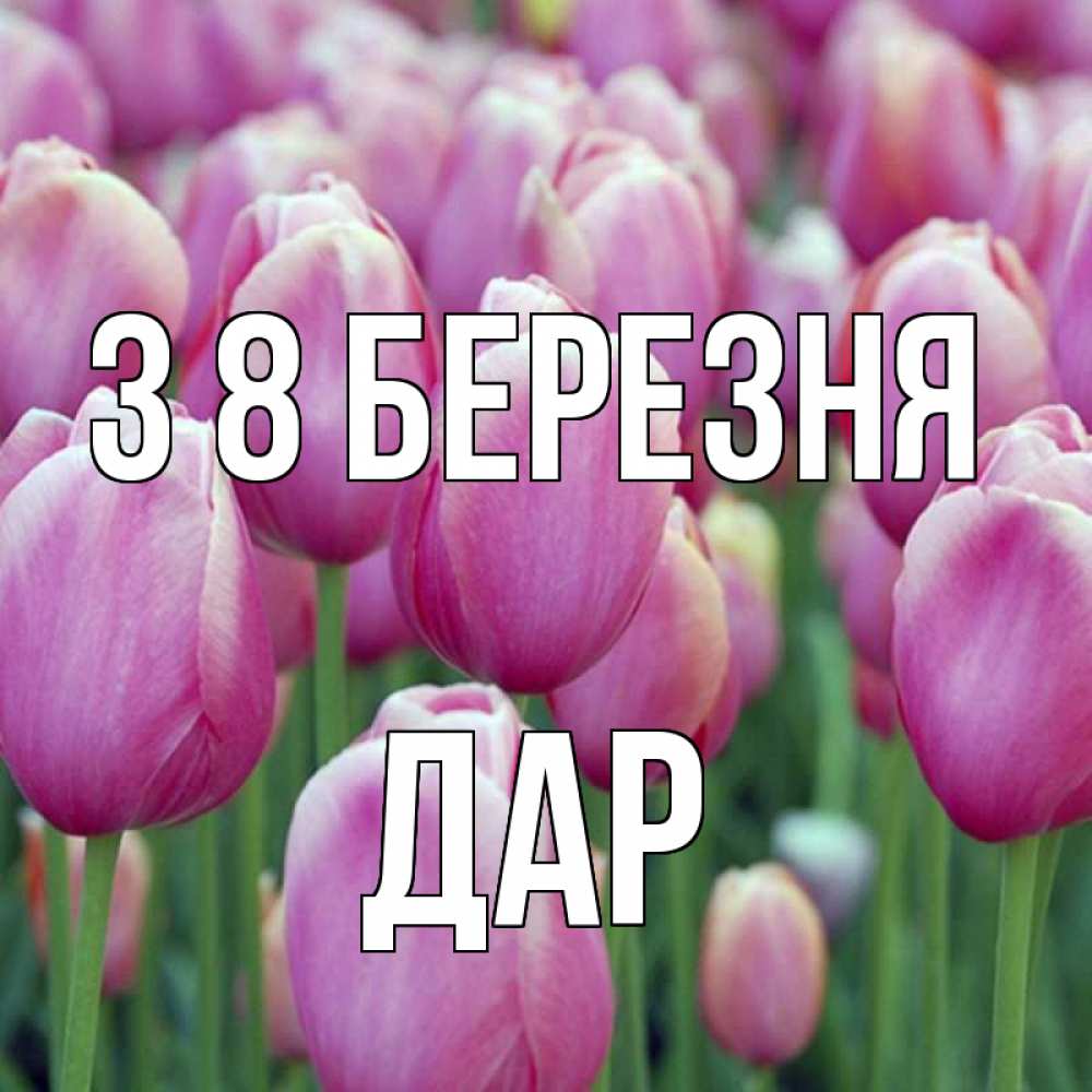 Открытка на каждый день з підписом, Дар З 8 БЕРЕЗНЯ на международный женский день 3 Прикольна листівка з побажанням онлайн скачати безкоштовно 