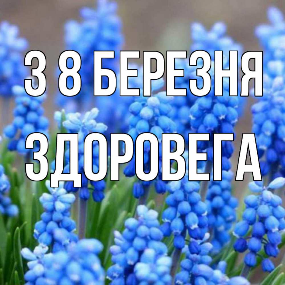Открытка на каждый день з підписом, Здоровега З 8 БЕРЕЗНЯ Поздравительная открытка для женщин с цветами на праздничную дату Прикольна листівка з побажанням онлайн скачати безкоштовно 