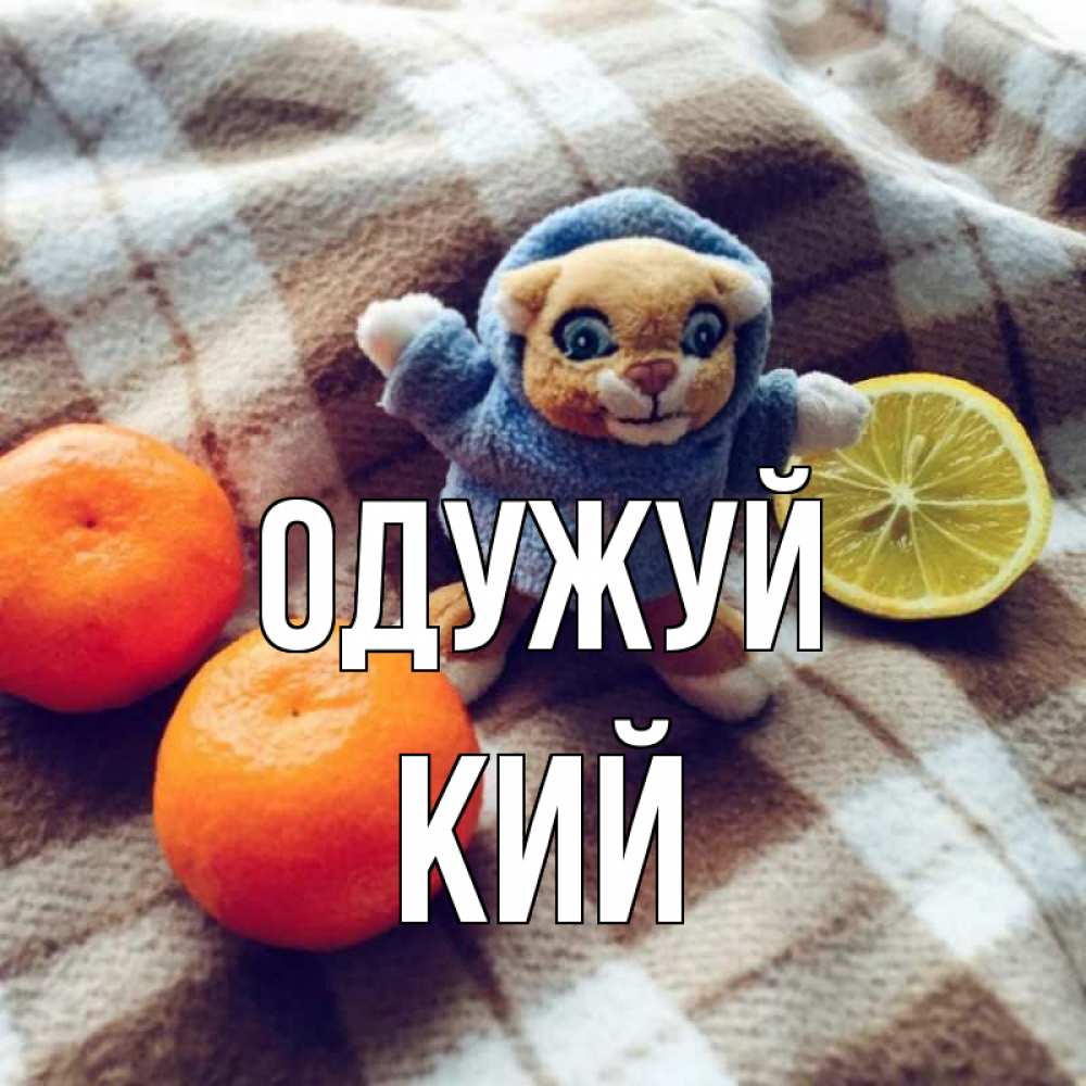 Открытка на каждый день з підписом, Кий Одужуй вот тебе апельсинка и лимон Прикольна листівка з побажанням онлайн скачати безкоштовно 