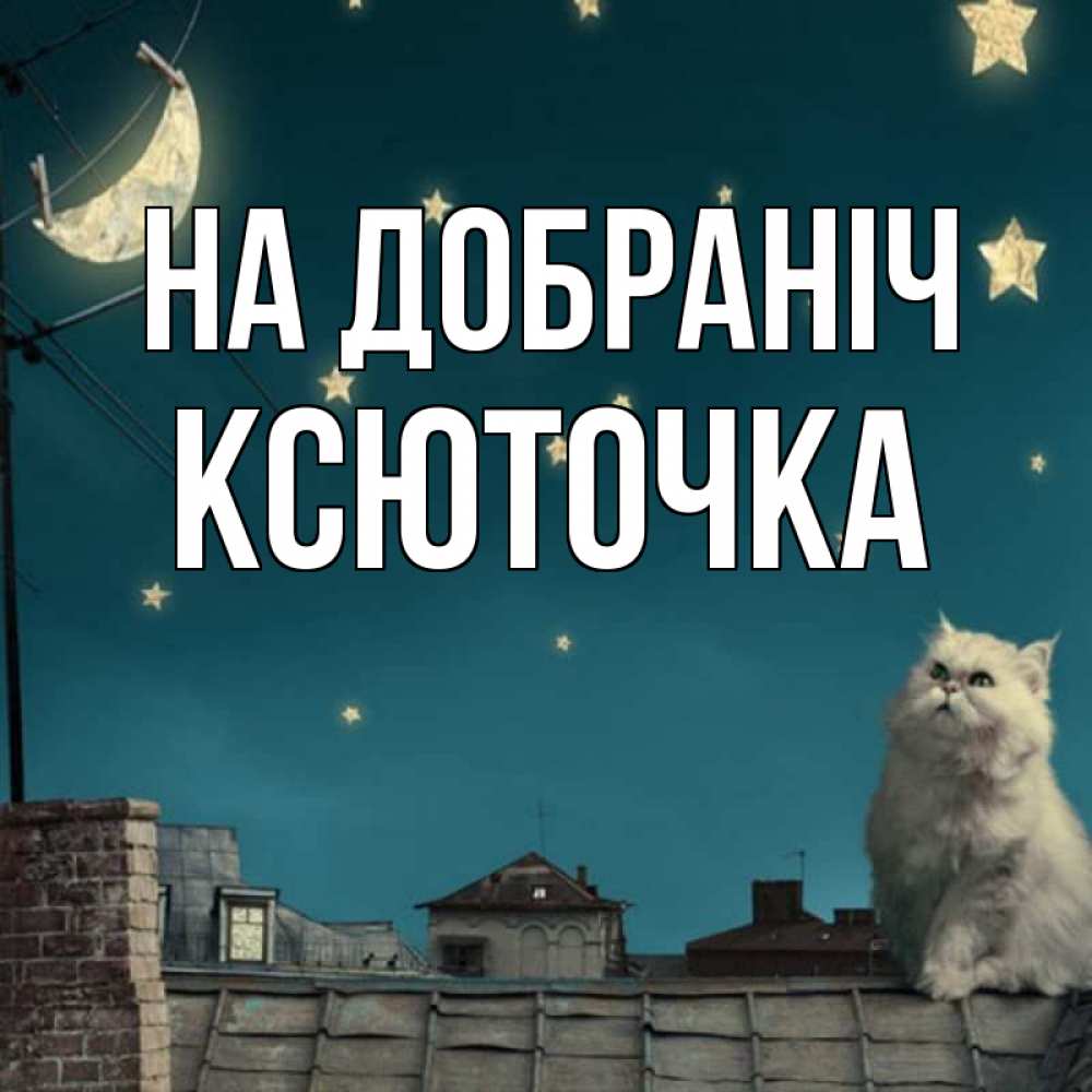 Открытка на каждый день з підписом, Ксюточка На добраніч белый кот сидит на крыше Прикольна листівка з побажанням онлайн скачати безкоштовно 