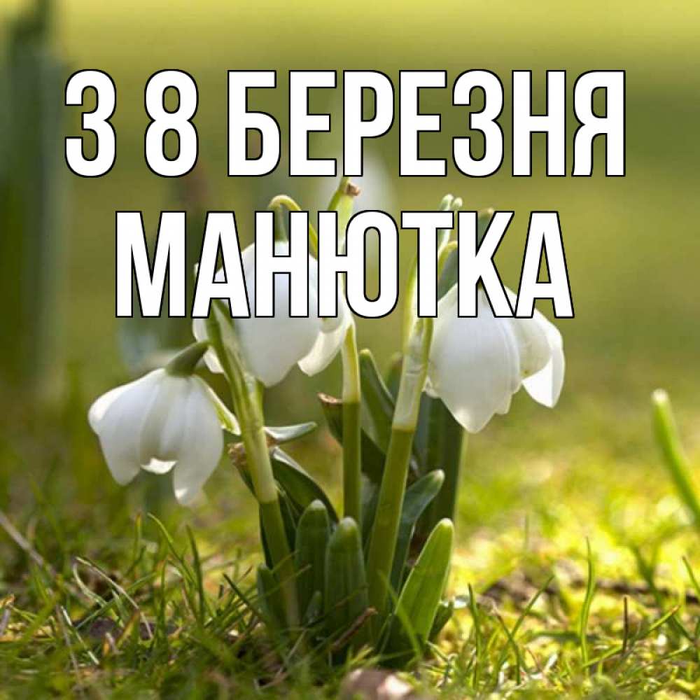 Открытка на каждый день з підписом, Манютка З 8 БЕРЕЗНЯ ранние цветы 2 Прикольна листівка з побажанням онлайн скачати безкоштовно 