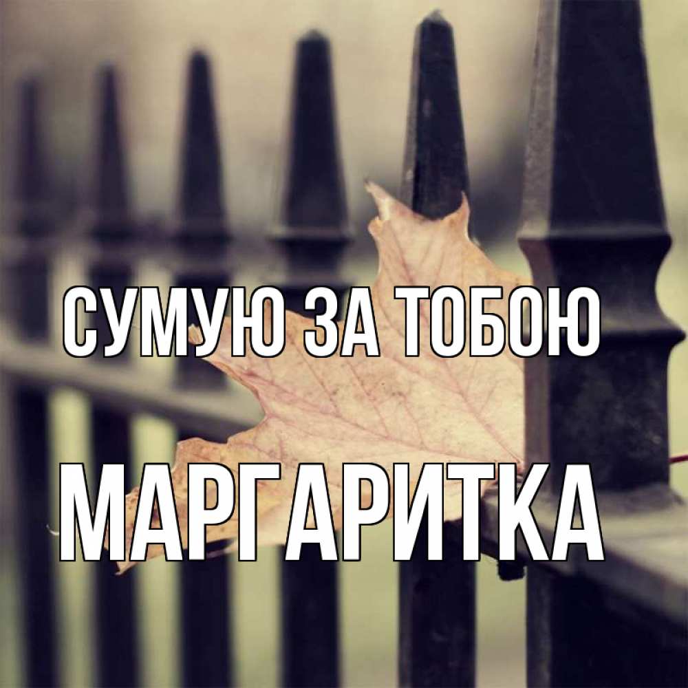 Открытка на каждый день з підписом, Маргаритка Сумую за тобою очень скучно Прикольна листівка з побажанням онлайн скачати безкоштовно 