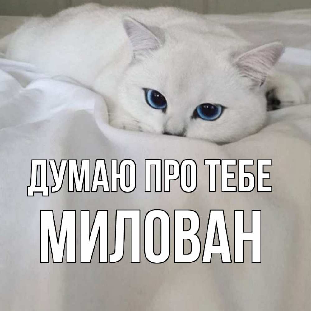 Открытка на каждый день з підписом, Милован Думаю про тебе я очень по тебе скучаю и тоскую Прикольна листівка з побажанням онлайн скачати безкоштовно 