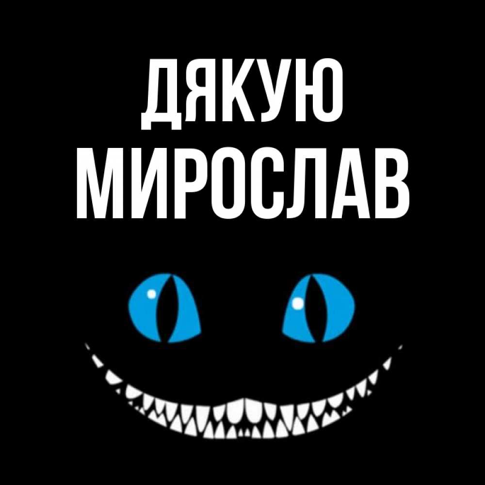 Открытка на каждый день з підписом, Мирослав Дякую благодарю от чеширика Прикольна листівка з побажанням онлайн скачати безкоштовно 