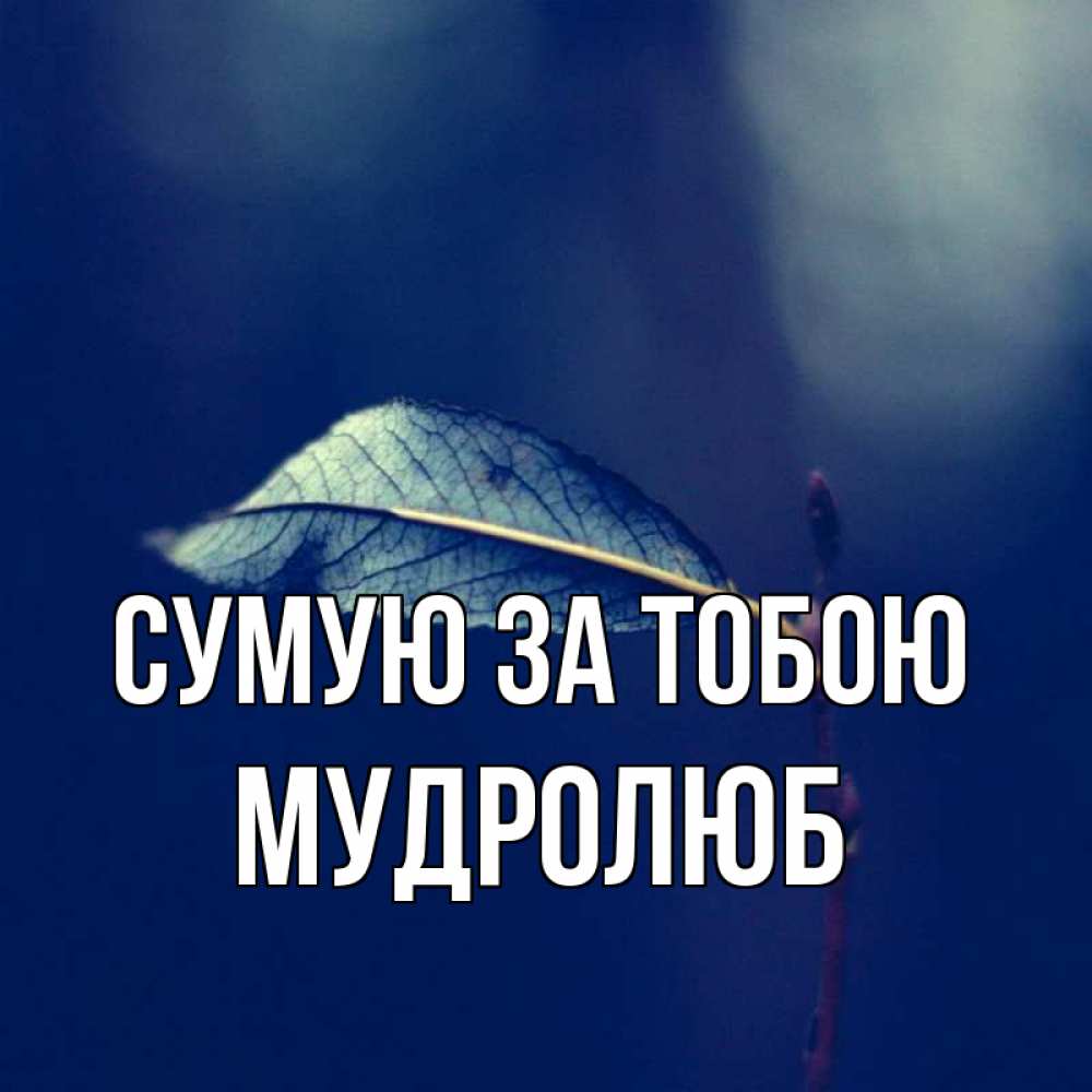 Открытка на каждый день з підписом, Мудролюб Сумую за тобою одна ветка 1 Прикольна листівка з побажанням онлайн скачати безкоштовно 