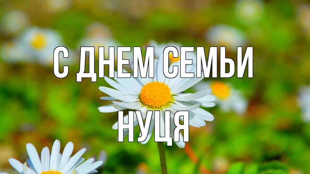 Открытка на каждый день з підписом, Нуця С днем семьи с днем семьи Прикольна листівка з побажанням онлайн скачати безкоштовно 
