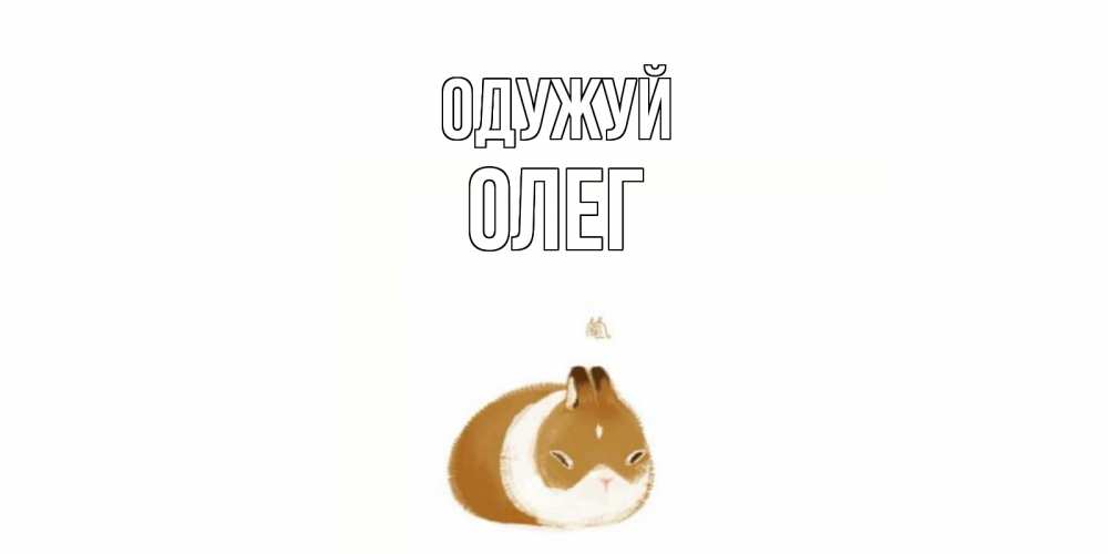 Открытка на каждый день з підписом, Олег Одужуй морская свинка на открытке с пожеланиями не болеть Прикольна листівка з побажанням онлайн скачати безкоштовно 